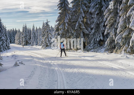 Road in mountains at winter in sunny day with cross-country skier. Trees covered with hoarfrost illuminated by the sun. Groomed ski trails. Stock Photo