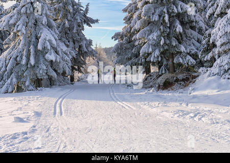 Road in mountains at winter in sunny day with two cross country skiers. Trees covered with hoarfrost illuminated by the sun. Groomed ski trails for cr Stock Photo