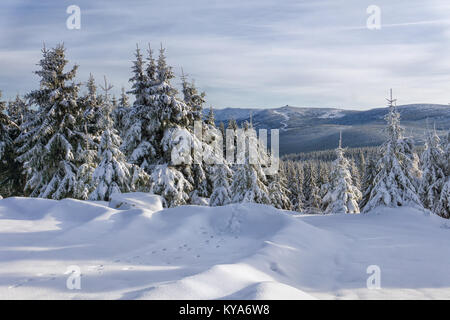 Winter landscape, trees in mountains covered with hoarfrost in sunny day and animal tracks on the snow. Szrenica peak in the background. Karkonosze. Stock Photo