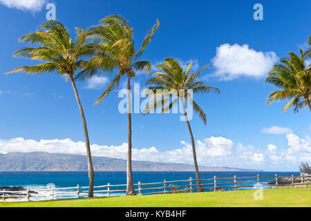 Palm trees along the rocky coastline at Napili Point in Maui, Hawaii with view to Molokai. Stock Photo