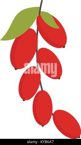 Red berries of cornel or dogwood icon isolated Stock Vector