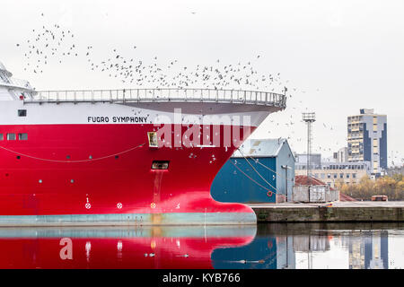 Leith Docks Edinburgh with various ships in dock Stock Photo