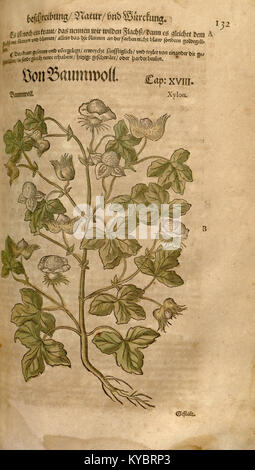 The 'New Kreterbuch' is an important historical text, contributing to ...