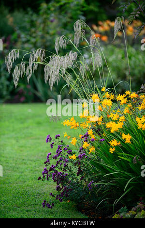 Crocosmia