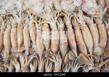 Closeup of a lot of fresh squids with ice on the street market. Bangkok, Thailand Stock Photo