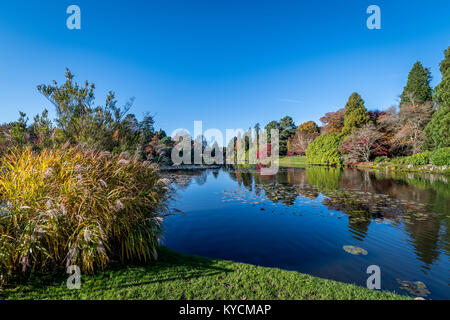 Autumn colour at Sheffield Park Gardens Stock Photo