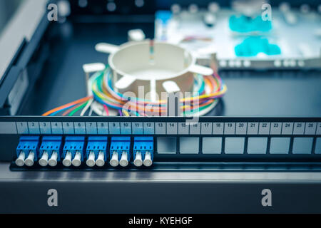 Fibre optic patch distribution panel shelf for enterprise networking Stock Photo