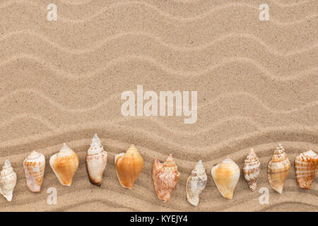 Sea shells in the form of a zigzag lie on the dunes. View from above Stock Photo