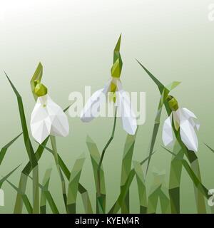 Spring snowdrops Galanthus nivalis in snow in the forest Stock Vector