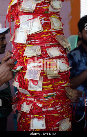 A young man tying red colored holy thread on trunk of tree in temple, haridwar, India Stock Photo