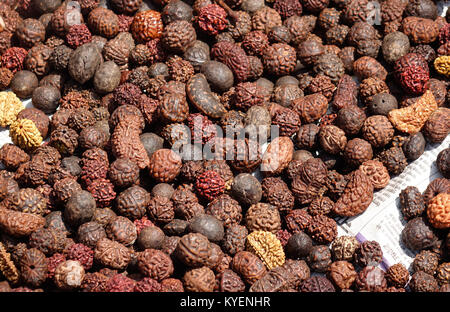 A heap of rudraksha a hindu religious beads for selling in rishikesh Stock Photo