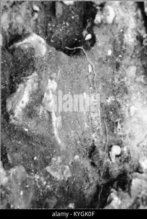 The archaeological site of Halvås Church and its ruins in Ryda, Sweden ...