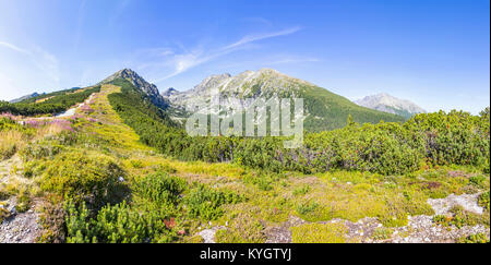 Panoramic picturesque summer view of High Tatras mountains near Strbske Pleso, Slovakia. Predne Solisko mount (2093m) on the left Stock Photo
