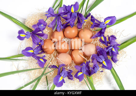 Holiday greeting card for Valentine's Day, Woman's Day, Mother's Day, Easter! Wild, purple irises and a basket with easter eggs on wooden table in the Stock Photo