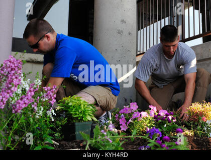 Full time employees at Boone National Guard Center plant new flowers and work together to beautify around their workplace in Frankfort, Ky., May 24, 2012 (Photo by Sgt. Cody Stagner, Mobile Public Affairs Detachment, Kentucky National Guard). Stock Photo