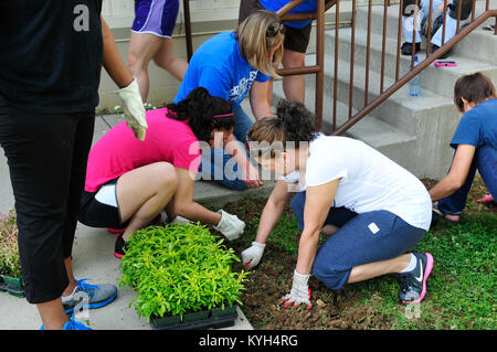 Full time employees at Boone National Guard Center plant new flowers and work together to beautify around their workplace in Frankfort, Ky., May 24, 2012 (Photo by Sgt. Cody Stagner, Mobile Public Affairs Detachment, Kentucky National Guard). Stock Photo