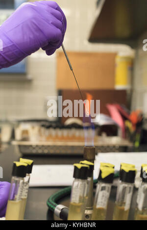 Lab technician holding sample in flame Stock Photo