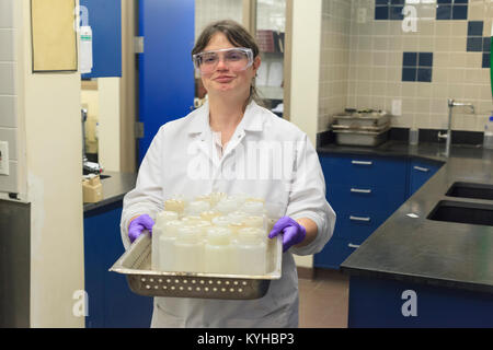 Lab technician preparing sample bottles Stock Photo