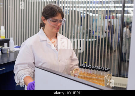 Lab technician removing tray of test tubes Stock Photo