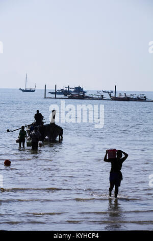 Manual labor. Unloading freight from a traditional longtail boat at Railay Beach, Krabi Provence, Thailand Stock Photo