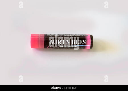 A tube of pink-tinted Burt's Bees lip balm on a white background. Cutout. USA. Stock Photo