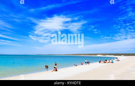 A tour group relaxing on the shores of Shell Beach. Shell Beach Conservation Park, Shark Bay World Heritage Site Stock Photo