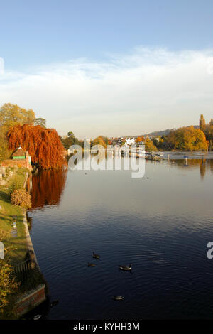 England, Chilterns, Buckinghamshire,  Autumn colour along the River Thames at Marlow Stock Photo