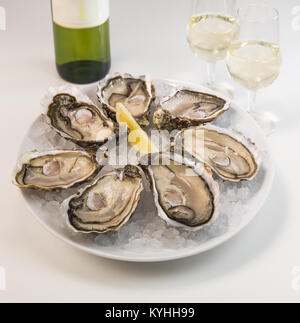 Oysters on ice and with a piece of lemon and wine bottle and glass Stock Photo