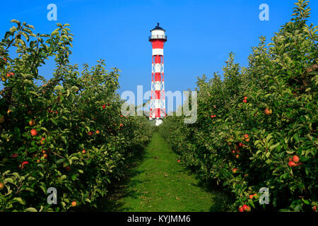 Historic Lighthouse in Grünendeich,   Altes Land, Lower Saxony, Germany Stock Photo