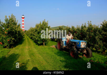 Historic Lighthouse in Grünendeich,   Altes Land, Lower Saxony, Germany Stock Photo