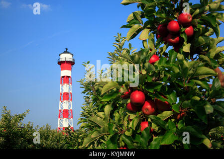 Historic Lighthouse in Grünendeich,   Altes Land, Lower Saxony, Germany Stock Photo