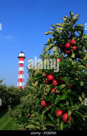 Historic Lighthouse in Grünendeich,   Altes Land, Lower Saxony, Germany Stock Photo