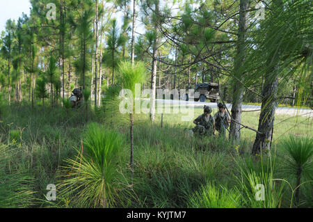 US military army National Guard training and assisting. Stock Photo