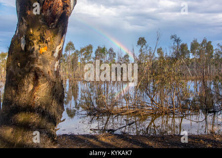 Rural scene in Australia with billabong, gum trees and rainbow. Stock Photo