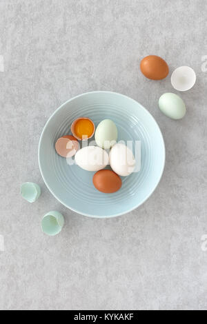 Blue eggs, brown eggs and white duck eggs, whole and halves, in a pastel blue bowl on grey textured background. Top view. Stock Photo