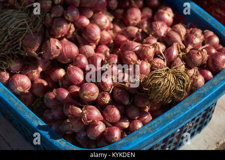 a plastic crate of shallots at a market, Old City, Chiang Mai, Thailand Stock Photo