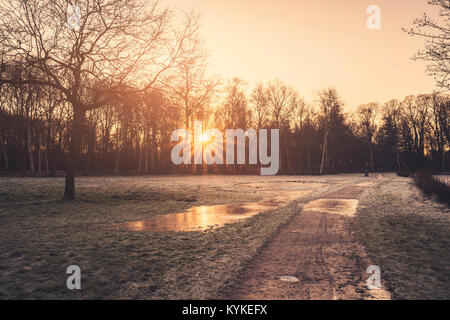 Sunrise in the winter reflecting in a frozen puddle by a road surrounded by trees Stock Photo