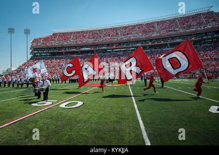 Louisville Cardinals – For Bare Feet