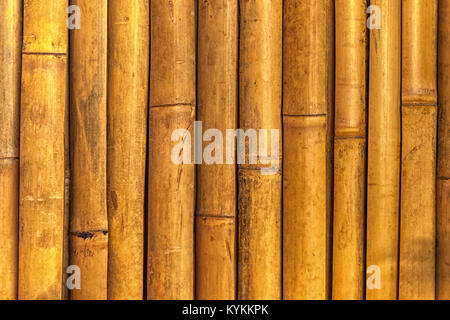 this is a real bamboo wood texture taken on location Stock Photo