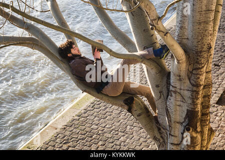 PARIS - Jan 2, 2014: An unidentified young man reads a book while reclining on a branch high up in a big tree along the Seine River. The location is n Stock Photo