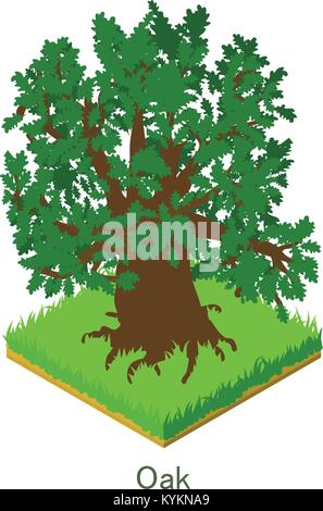 Oak icon, isometric style. Stock Vector