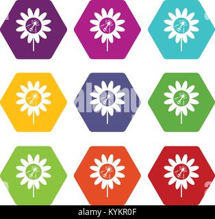 Bee on flower icon set color hexahedron Stock Vector