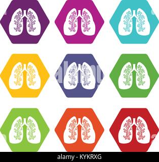 Lungs icon set color hexahedron Stock Vector