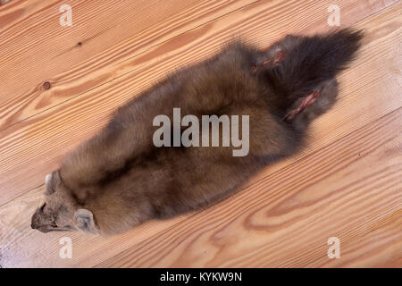 Fur skins of Siberian sable on wooden background. Raw material of beautiful dark chestnut color Stock Photo