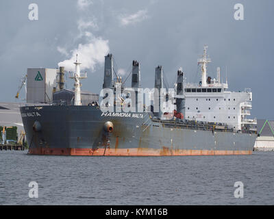 Hammonia Malta (ship, 2010) IMO 9515747 Port of Amsterdam pic3 Stock Photo