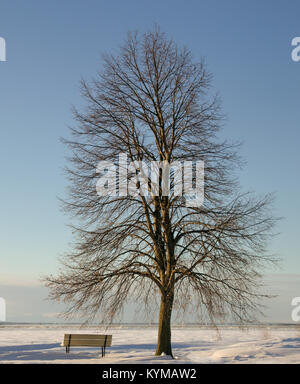 beautiful winter landscape with tree and river Stock Photo - Alamy