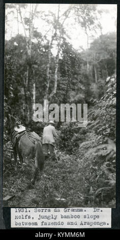 Mary Agnes Chase's Field Work in Brazil, Image No 1931 6985375845 o Stock Photo