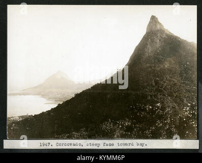 Mary Agnes Chase's Field Work in Brazil, Image No 1947 6985376291 o Stock Photo