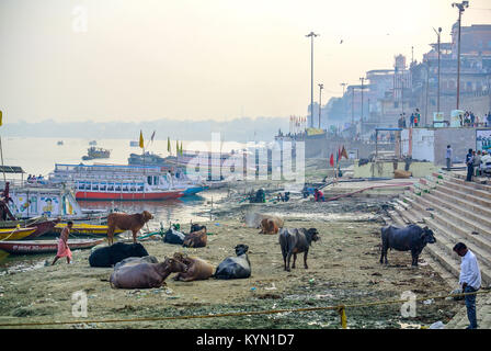 Varanasi, Uttar Pradesh, India, Cityscape of Banares with the Ganges river Stock Photo