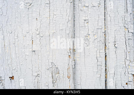 Grey flaking paint with cracked surface peeling off an old vintage wooden exterior with copy space area for renovation and construction ideas and desi Stock Photo